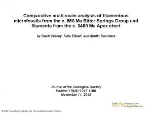 Comparative multiscale analysis of filamentous microfossils from the