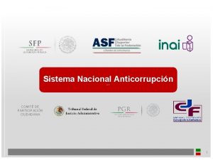 Sistema Nacional Anticorrupcin v 1 COMIT DE PARTICIPACIN