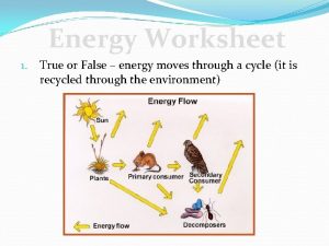 Energy Worksheet 1 True or False energy moves