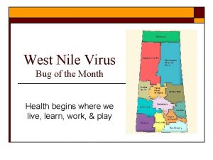 West Nile Virus Bug of the Month Health