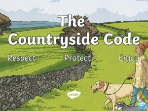 What Is the Countryside Code The Countryside Code