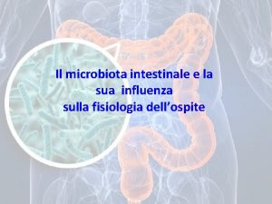 Il microbiota intestinale e la sua influenza sulla