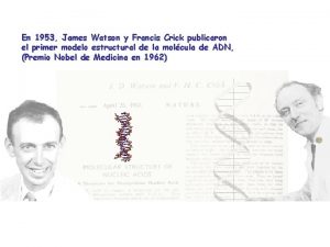 En 1953 James Watson y Francis Crick publicaron