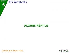 UNITAT 6 Els vertebrats ALGUNS RPTILS Cincies de