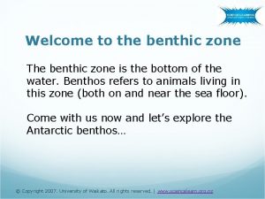 Welcome to the benthic zone The benthic zone