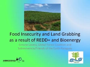 Food Insecurity and Land Grabbing as a result