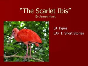 The Scarlet Ibis By James Hurst Lit Types