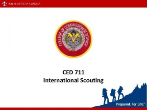 CED 711 International Scouting World Crest The World