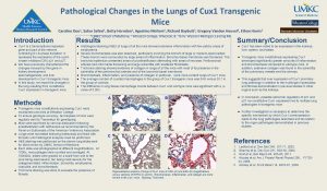 Pathological Changes in the Lungs of Cux 1
