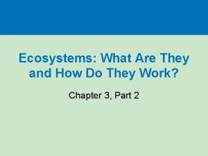 Ecosystems What Are They and How Do They