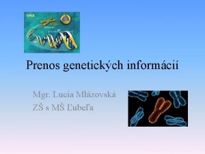 Prenos genetickch informci Mgr Lucia Mlzovsk Z s