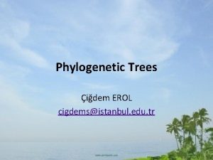 Phylogenetic Trees idem EROL cigdemsistanbul edu tr Phylogenetic