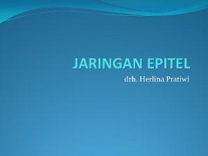 JARINGAN EPITEL drh Herlina Pratiwi Jaringan adalah sekumpulan
