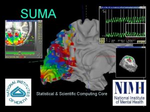 SUMA Statistical Scientific Computing Core 01212009 SSCCNIMH 1