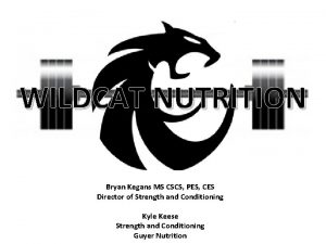 WILDCAT NUTRITION Bryan Kegans MS CSCS PES CES