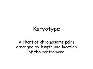 Karyotype A chart of chromosome pairs arranged by