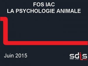 FOS IAC LA PSYCHOLOGIE ANIMALE Juin 2015 Sommaire
