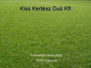Kiss Kertsz Du Kft Fvestsi bemutat 2006 mrcius