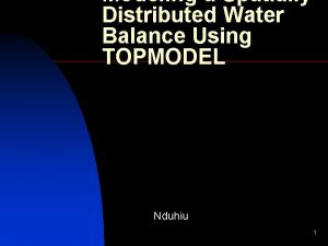 Modeling a Spatially Distributed Water Balance Using TOPMODEL