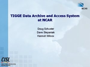 TIGGE Data Archive and Access System at NCAR