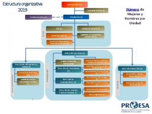 Estructura organizativa 2019 Consejo Directivo Nmero de Mujeres