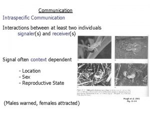 Communication Intraspecific Communication Interactions between at least two