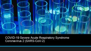 COVID19 Severe Acute Respiratory Syndrome Coronavirus 2 SARSCo