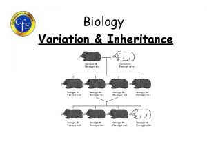 Biology Variation Inheritance Learning Intentions 1 What is