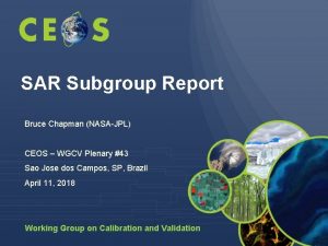 SAR Subgroup Report Bruce Chapman NASAJPL CEOS WGCV