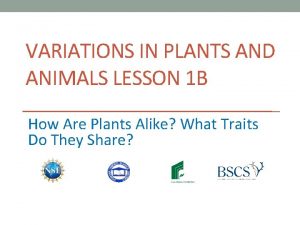 VARIATIONS IN PLANTS AND ANIMALS LESSON 1 B