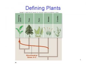 Defining Plants 1 Defining Plants Land plants have