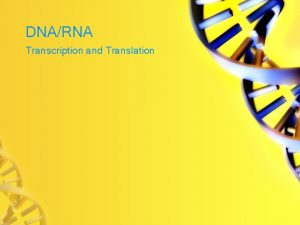 DNARNA Transcription and Translation Review DNA is responsible