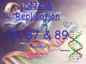 DNA Replication IN 87 89 Headings Vocabulary Important