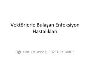 Vektrlerle Bulaan Enfeksiyon Hastalklar r Gr Dr Ayegl