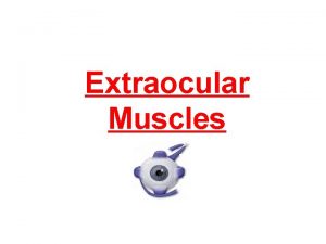 Extraocular Muscles Muscles of the orbit They are