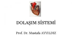 DOLAIM SSTEM Prof Dr Mustafa AYYILDIZ DOLAIM SSTEM