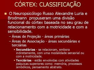 CRTEX CLASSIFICAO n O Neuropsiclogo Russo Alexandre Luria