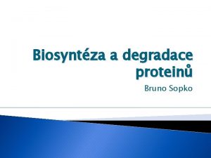 Biosyntza a degradace protein Bruno Sopko Obsah Proteosyntza