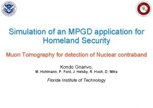 Simulation of an MPGD application for Homeland Security