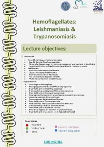 Hemoflagellates Leishmaniasis Trypanosomiasis Lecture objectives 1 Leishmaniasis Know