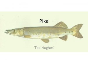Pike Ted Hughes Ted Hughes reading Pike Identify
