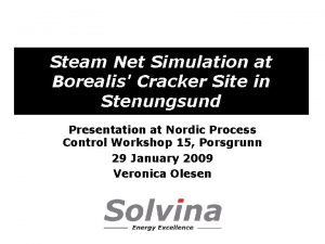 Steam Net Simulation at Borealis Cracker Site in