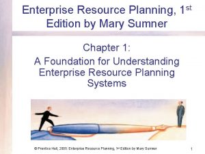 Enterprise Resource Planning 1 st Edition by Mary