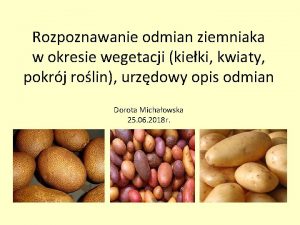 Rozpoznawanie odmian ziemniaka w okresie wegetacji kieki kwiaty