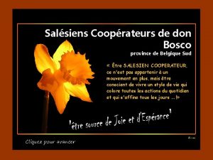 Salsiens Cooprateurs de don Bosco province de Belgique