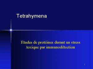 Tetrahymena Etudes de protines durant un stress toxique