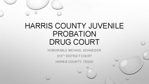 HARRIS COUNTY JUVENILE PROBATION DRUG COURT HONORABLE MICHAEL