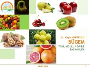 Dr Veyis YURTKULU BGEM TOHUMCULUK DARE BAKANLII MART