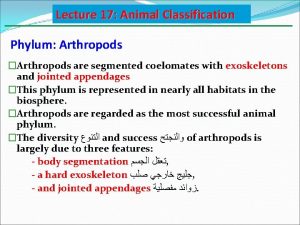 Lecture 17 Animal Classification Phylum Arthropods Arthropods are