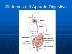 Sntomas del Aparato Digestivo Principales Sntomas n n